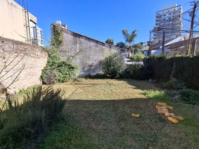 place photo 25