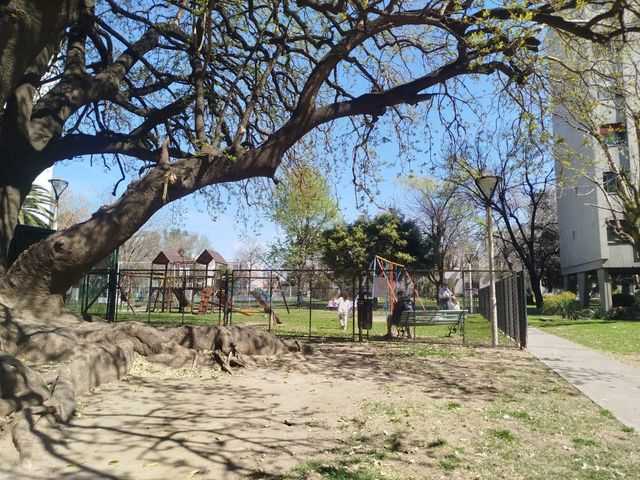 place photo 31