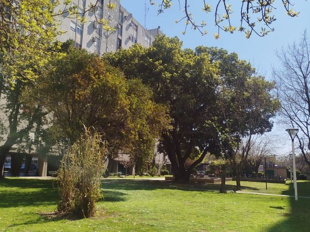 place photo 32