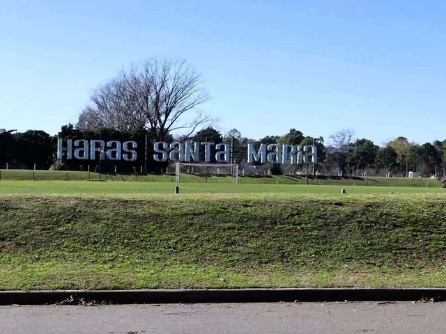 place photo 59