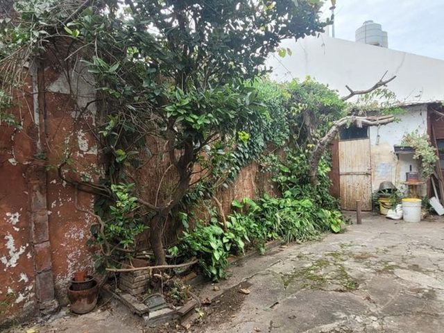 place photo 29