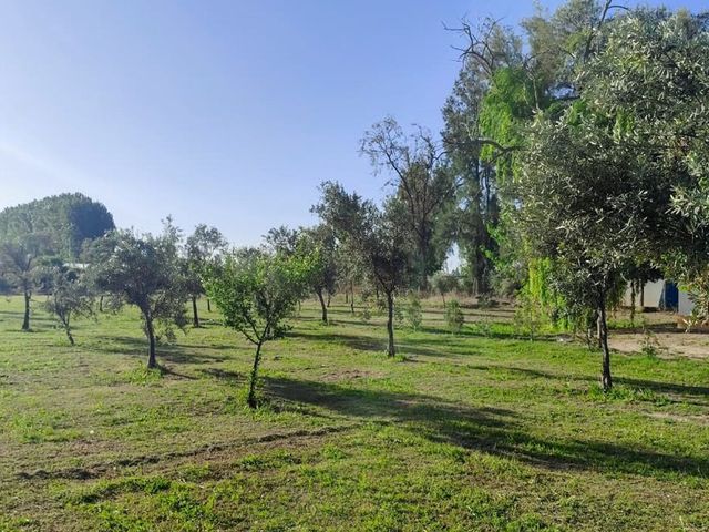 place photo 24