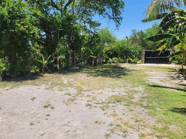 place photo 13