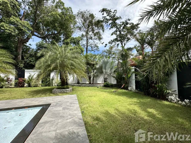 place photo 43