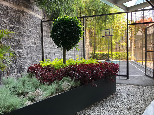 place photo 28