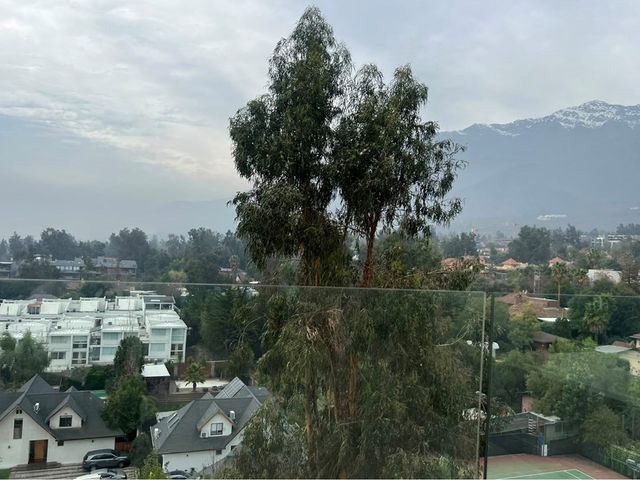 place photo 37