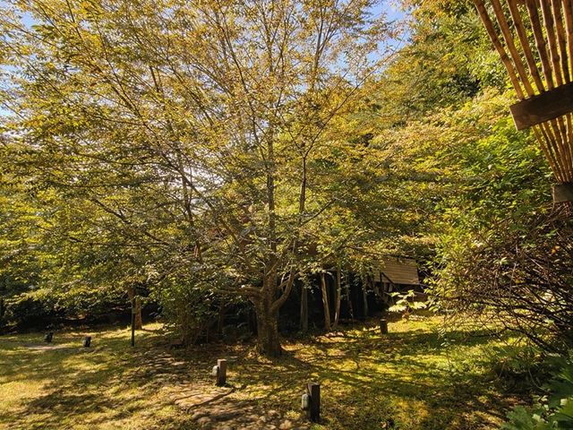 place photo 49