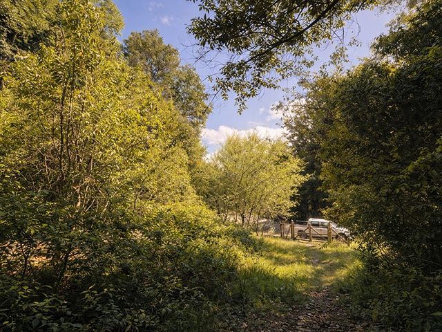 place photo 68