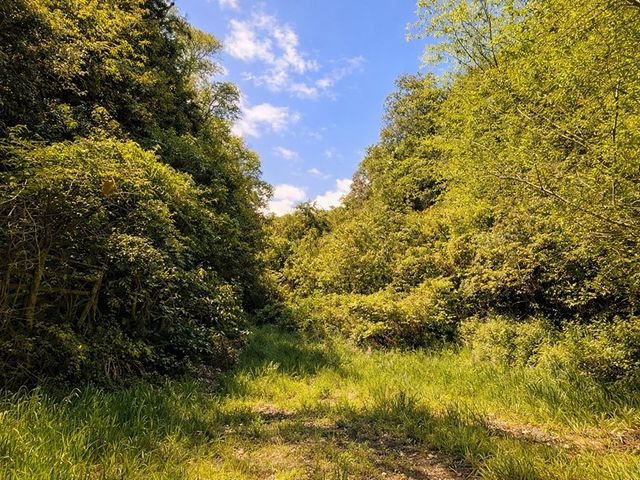 place photo 61