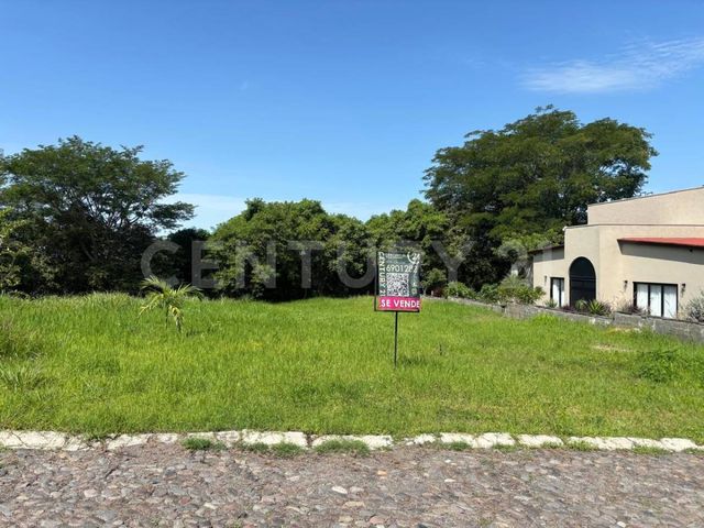 place photo 26