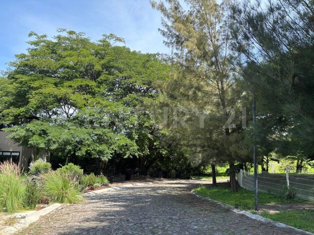 place photo 24