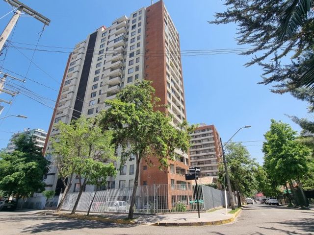 place photo 28