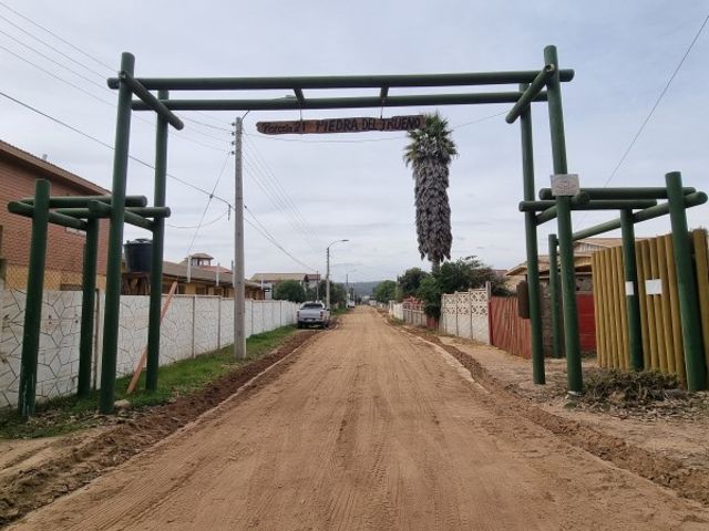 place photo 26