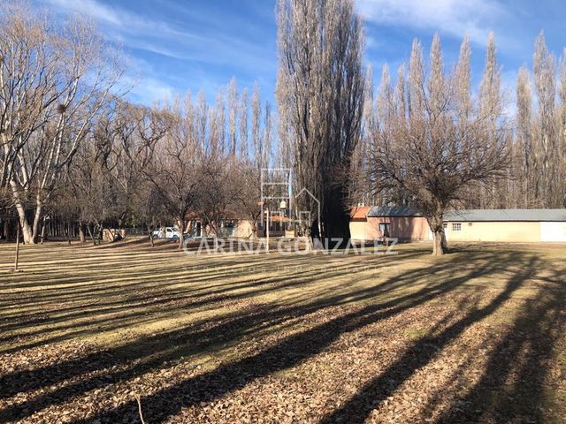 place photo 47