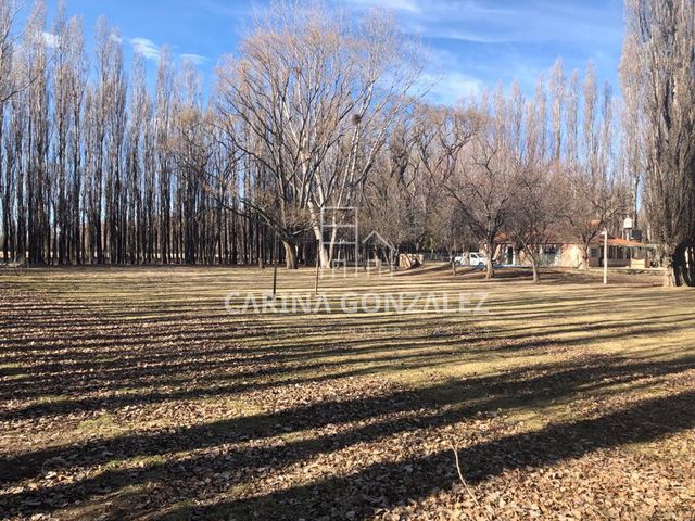 place photo 41