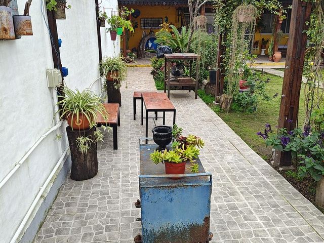place photo 13