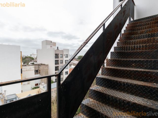 place photo 35
