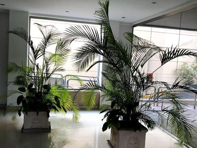 place photo 36