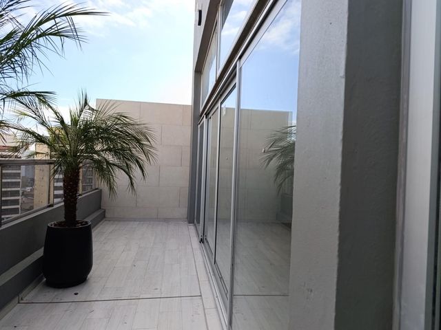 place photo 46