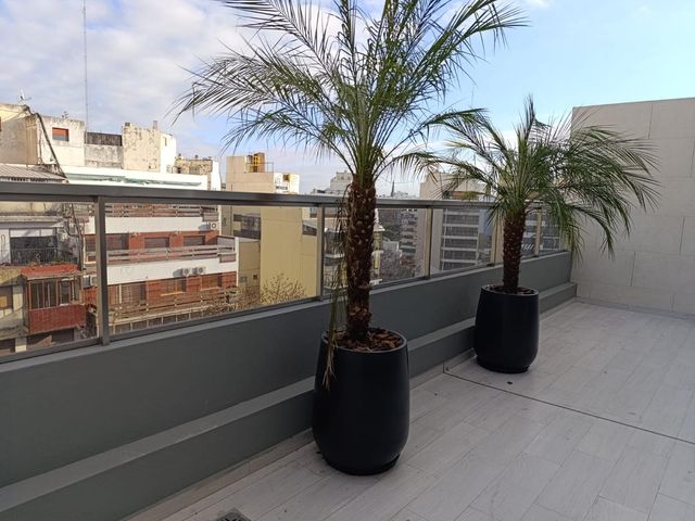 place photo 47