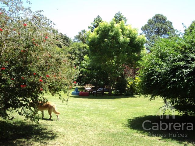 place photo 35