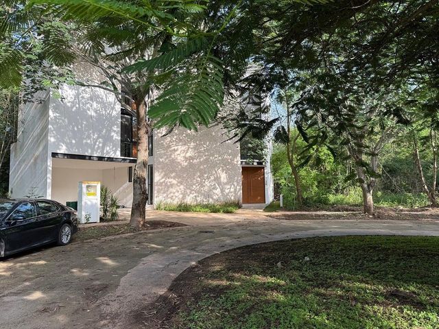 place photo 34