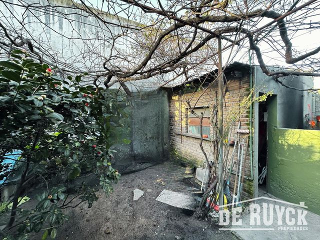 place photo 11