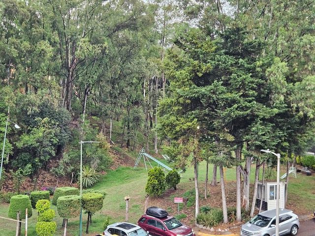 place photo 34