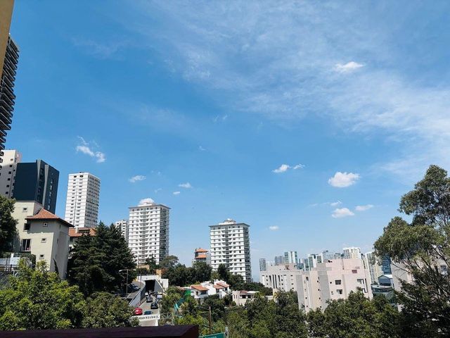 place photo 23