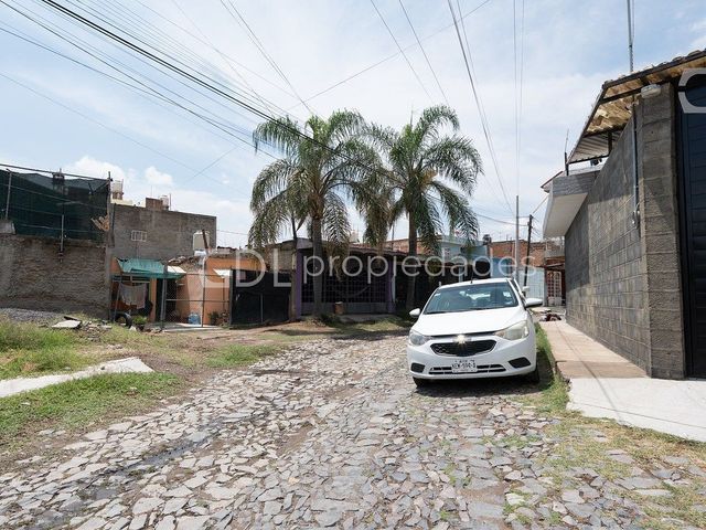 place photo 6