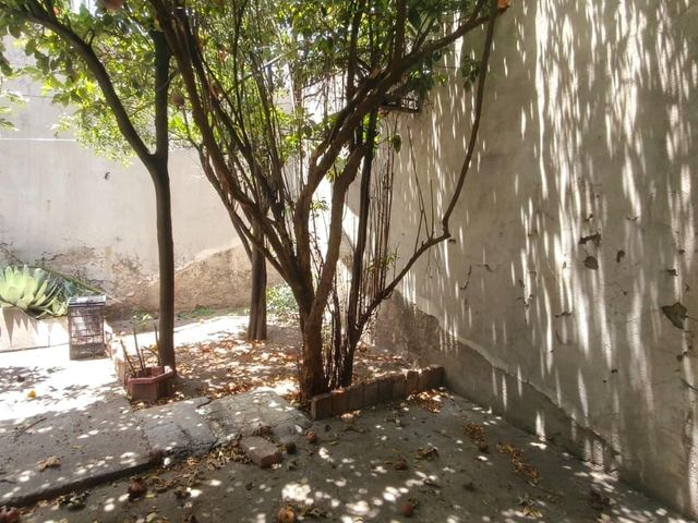 place photo 30