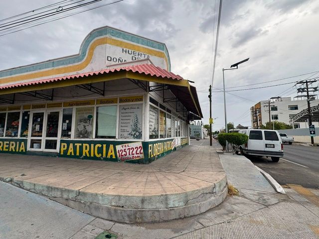 place photo 11