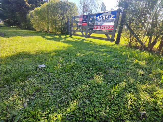 place photo 37