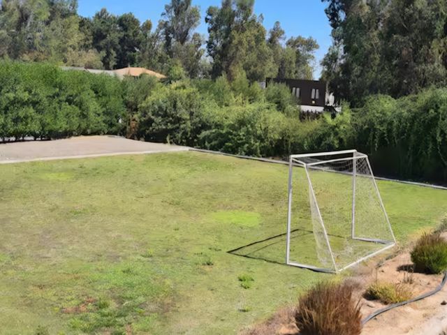 place photo 17