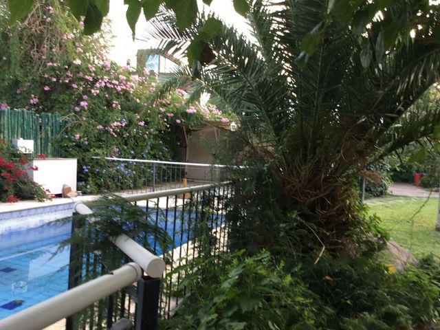 place photo 14