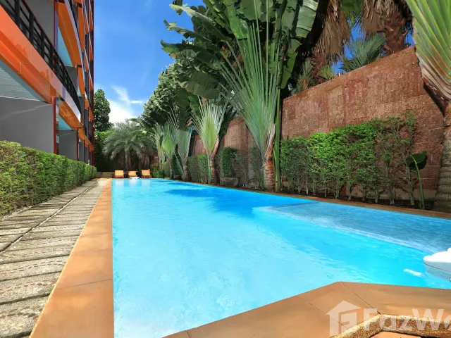 place photo 19