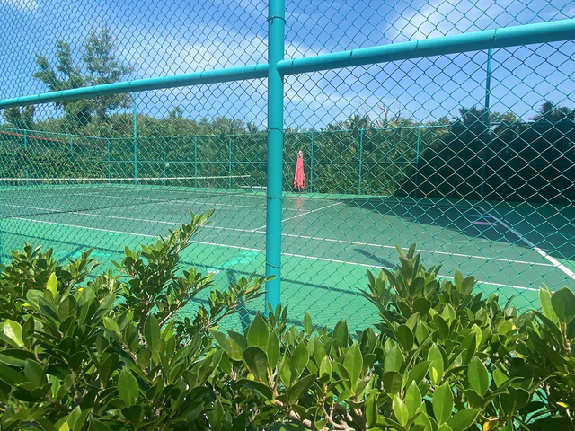 place photo 13