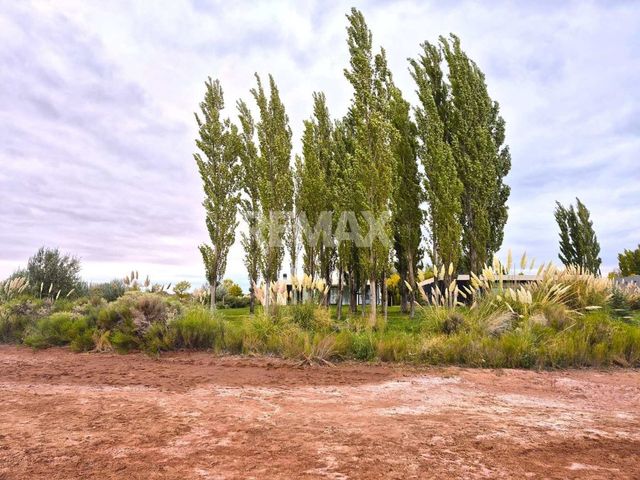 place photo 49