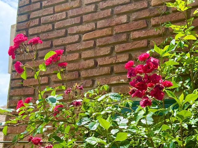 place photo 20