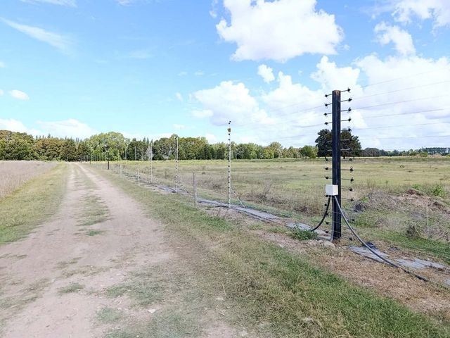place photo 46