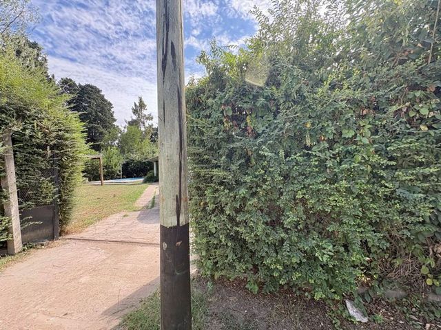 place photo 37