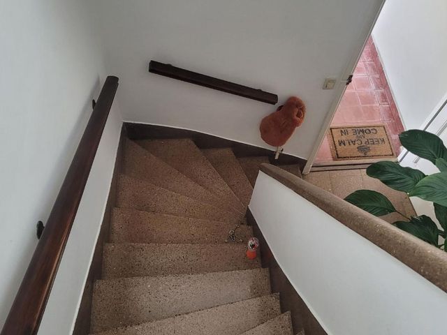 place photo 45
