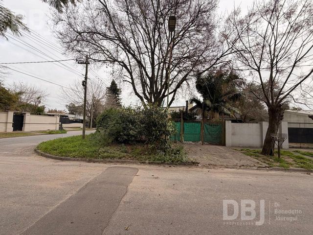 place photo 21