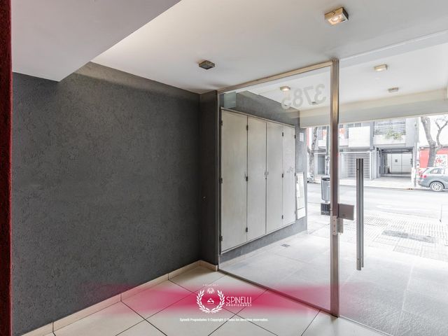 place photo 33