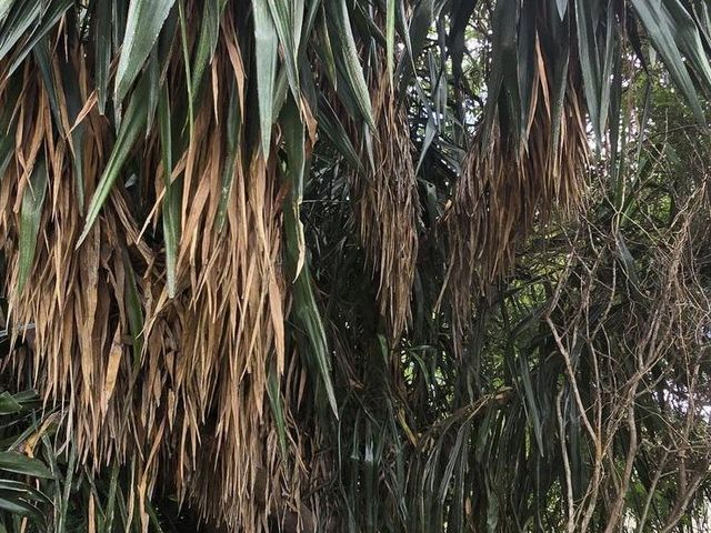 place photo 47