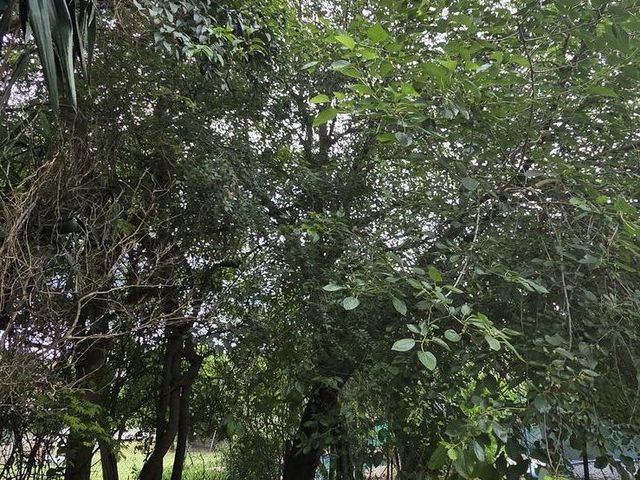 place photo 46