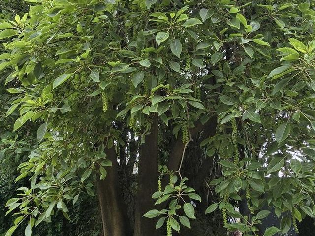 place photo 48