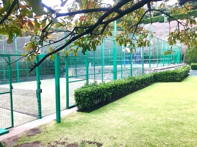 place photo 41
