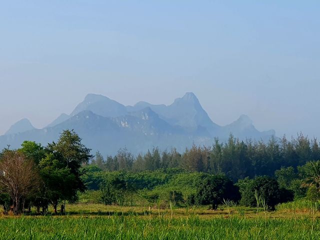place photo 45