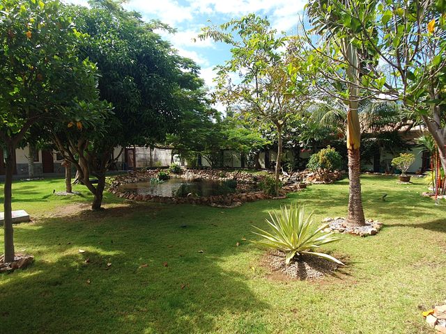 place photo 43